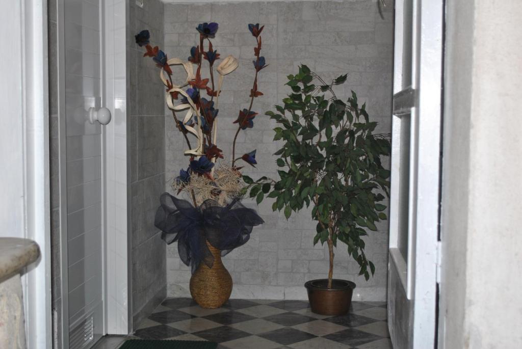 Tecla House room 6